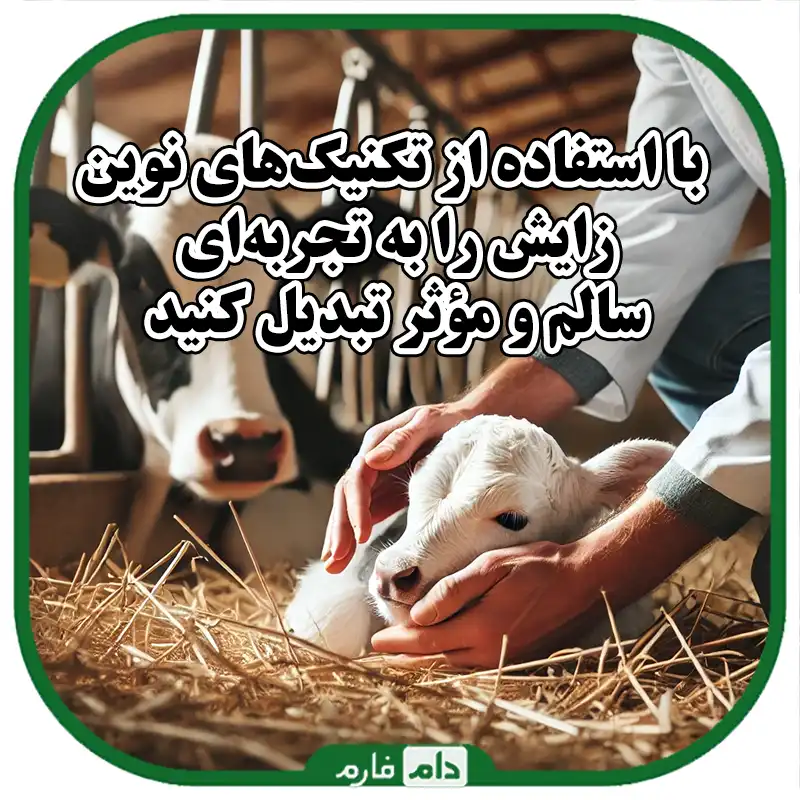 روش‌های_نوین_مدیریت_زایش_در_دام‌ها_و_مراقبت‌های_پس_از_زایش_برای_افزایش_بهره‌وری_و_سلامت_دام‌ها