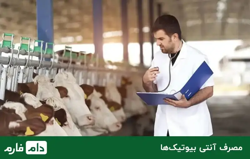 Malta-fever-Cause-symptoms-and-treatment-of-Malt-fever-disease