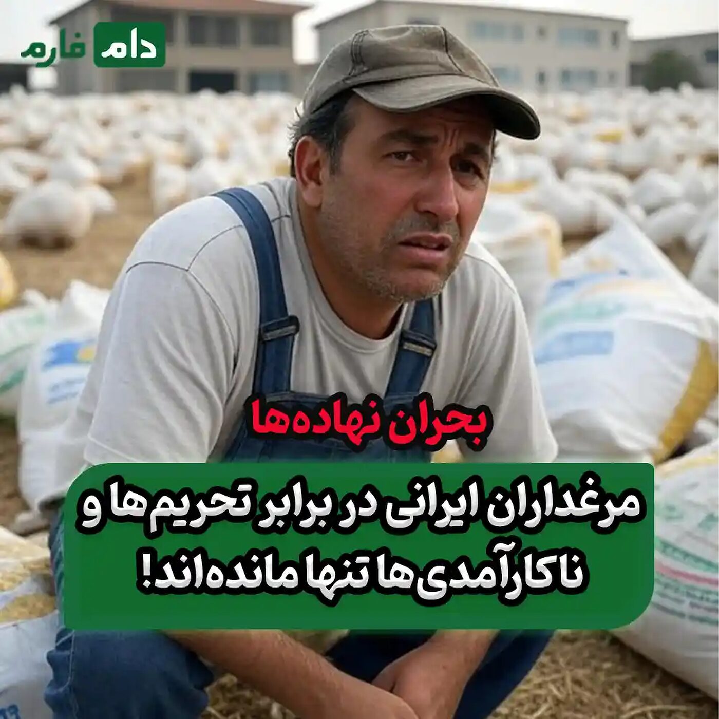 چرا_دولت_از_مرغداران_در_خرید_نهاده‌ها_حمایت_نمی‌کند؟
