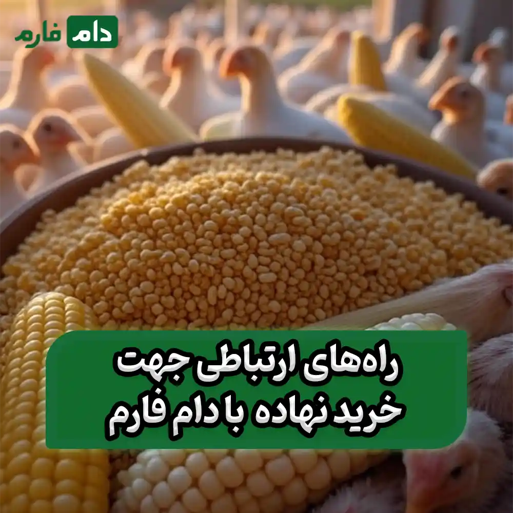 Why-doesn't-the-government-support-poultry-farmers-in-purchasing-inputs