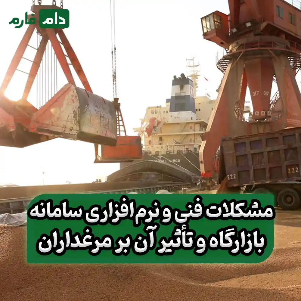 What-are-the-main-problems-of-poultry-farmers-in-the-marketplace-system