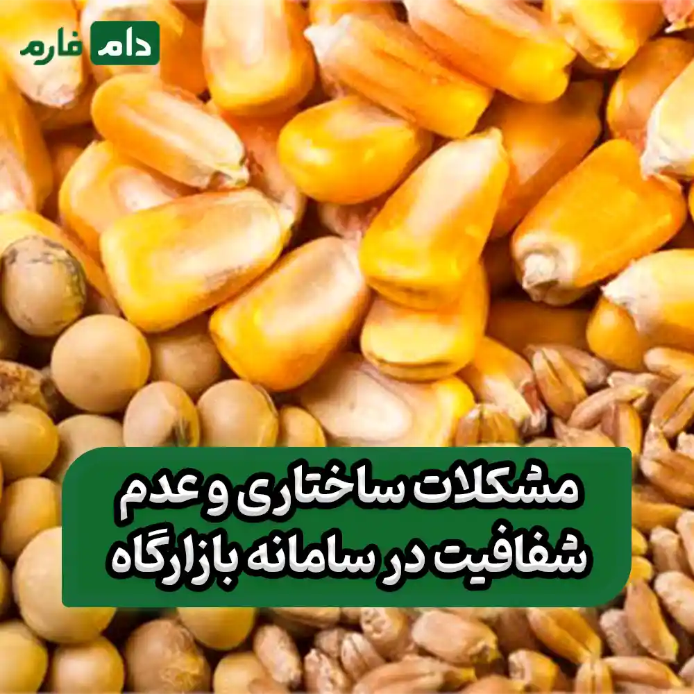 What-are-the-main-problems-of-poultry-farmers-in-the-marketplace-system