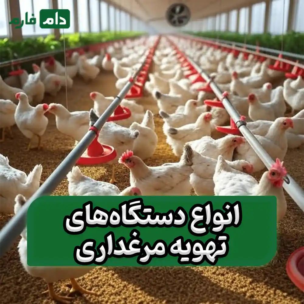 Improper-ventilation--big-regret-a-complete-guide-to-types-of-poultry-ventilation-devices