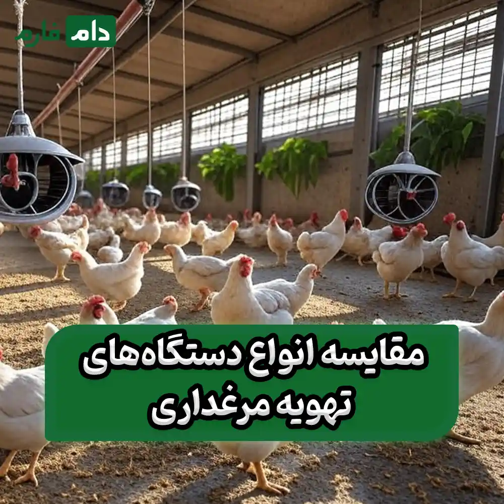 Improper-ventilation--big-regret-a-complete-guide-to-types-of-poultry-ventilation-devices