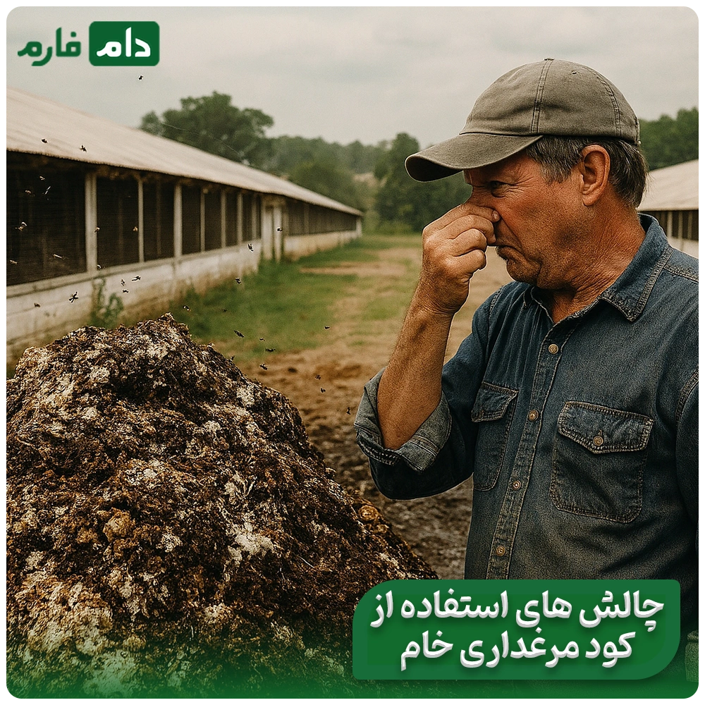 tozih-niaz-ve-nehveh-aghim-sazi-kood-dar-morghdari