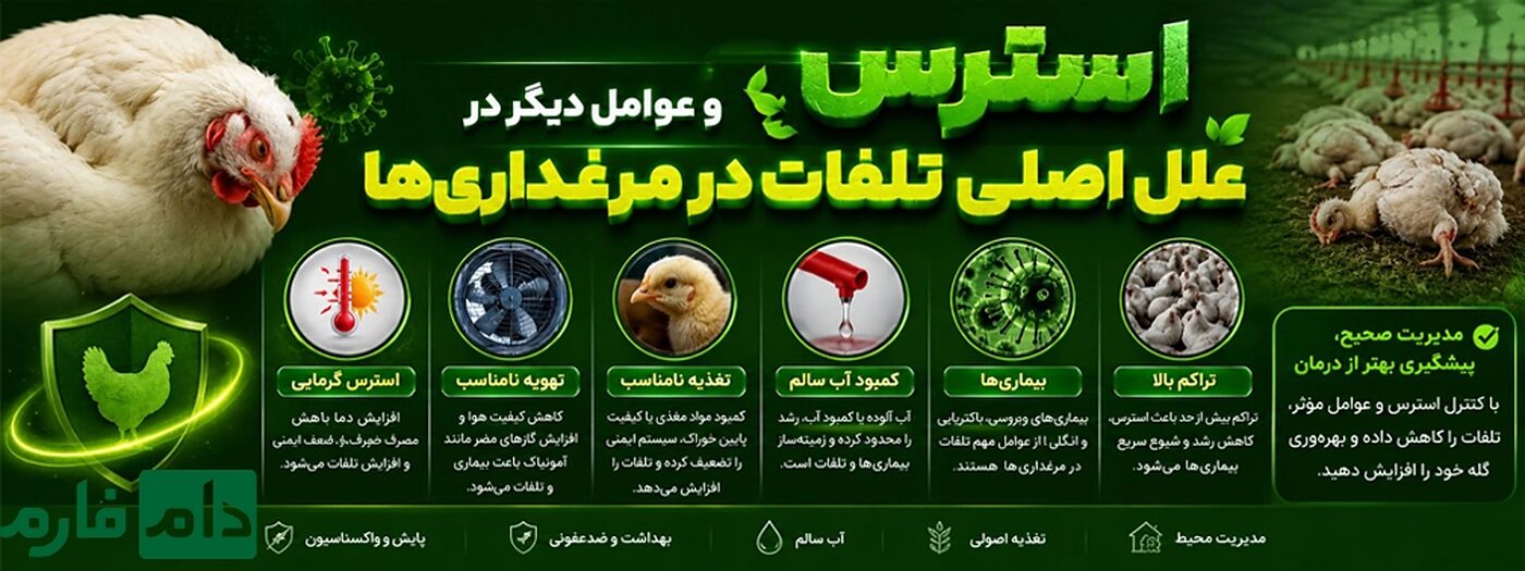 علل_اصلی_تلفات_در_مرغداری_ها