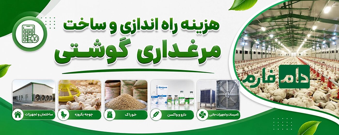 هزینه_راه_اندازی_و_ساخت_مرغداری_گوشتی