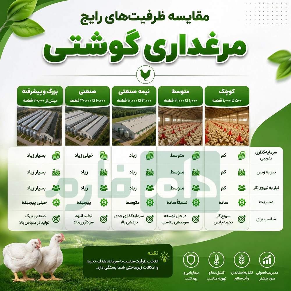 Cost-of-setting-up-and-building-a-broiler-farm