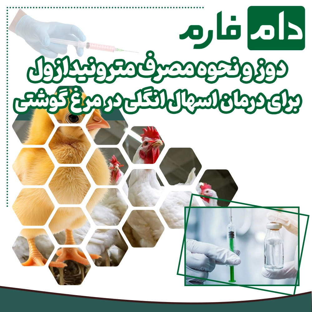 Metronidazole-for-definitive-treatment-of-parasitic-diarrhea-in-broiler-chickens