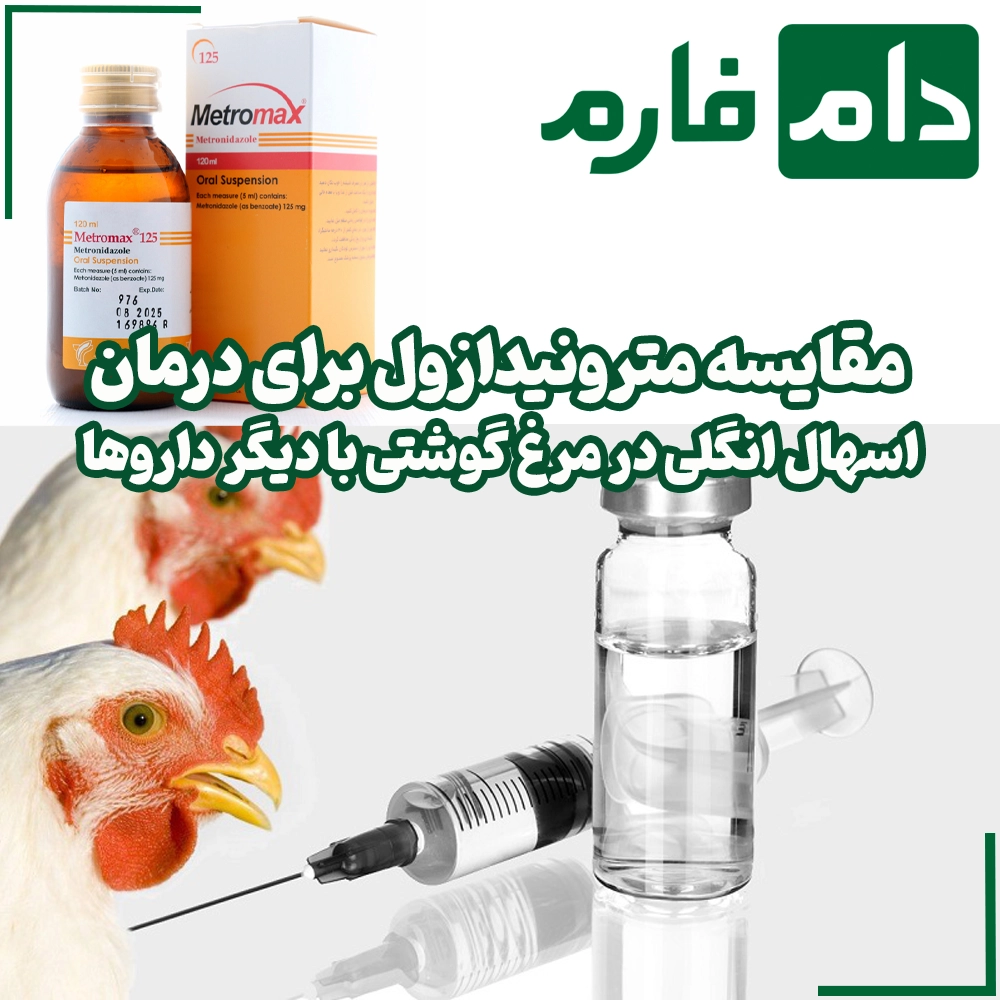 Metronidazole-for-definitive-treatment-of-parasitic-diarrhea-in-broiler-chickens