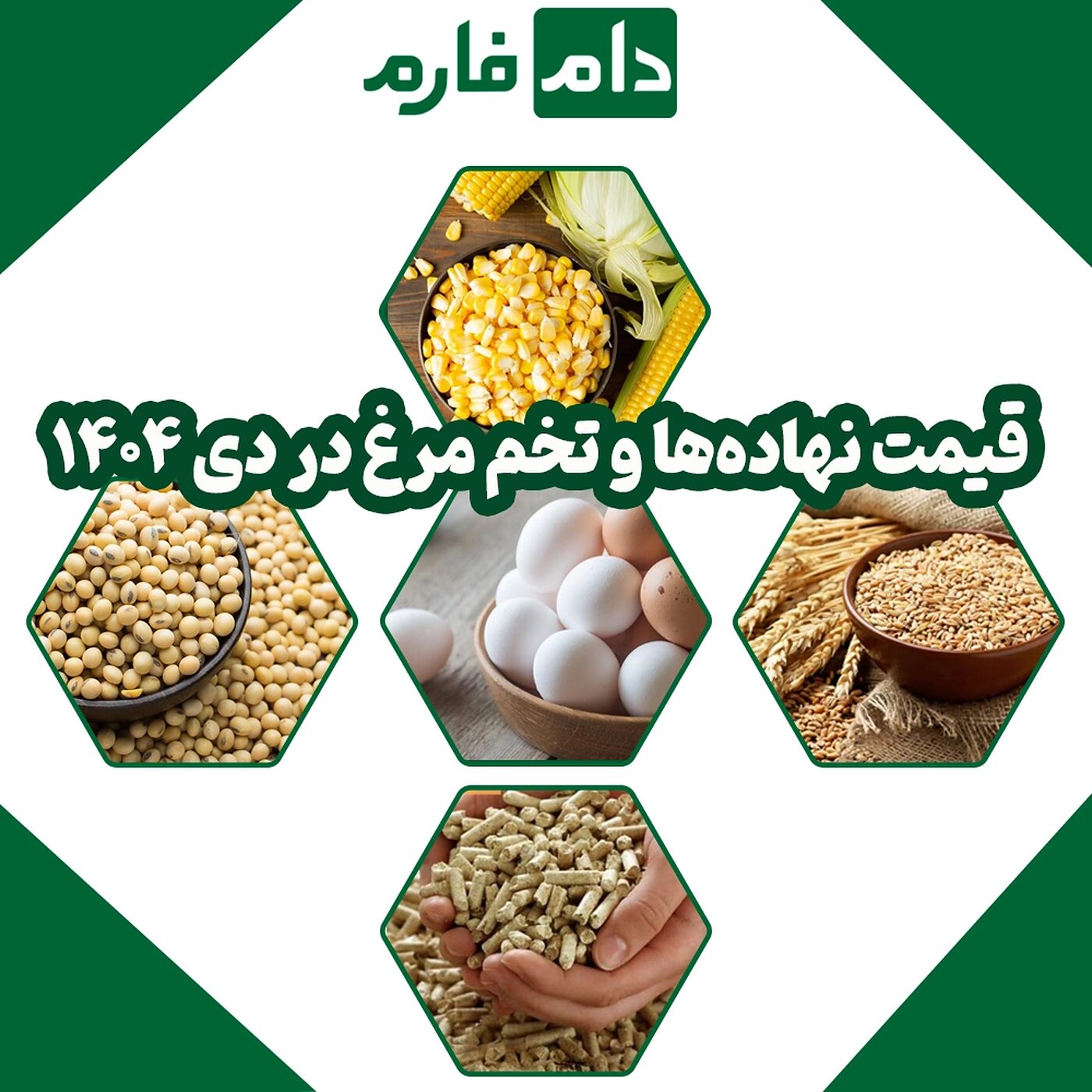 در_بازار_تخم_مرغ_ایران_چه_می_گذرد
