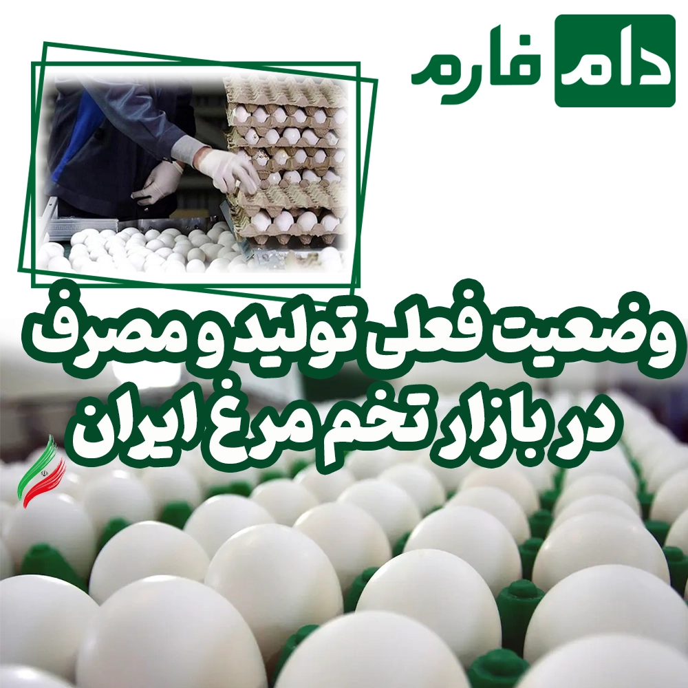 Whats-happening-in-the-Iranian-egg-market