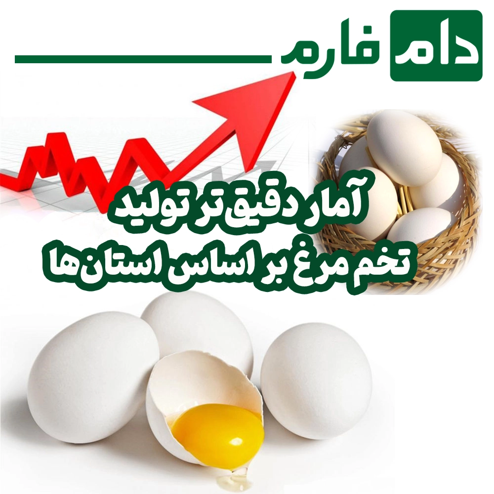 Whats-happening-in-the-Iranian-egg-market