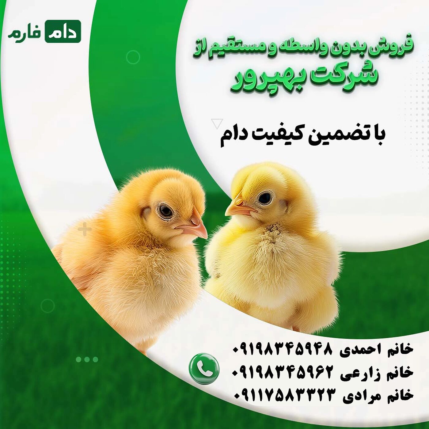 خرید_مستقیم_جوجه_شرکت_بهپرور_90001101