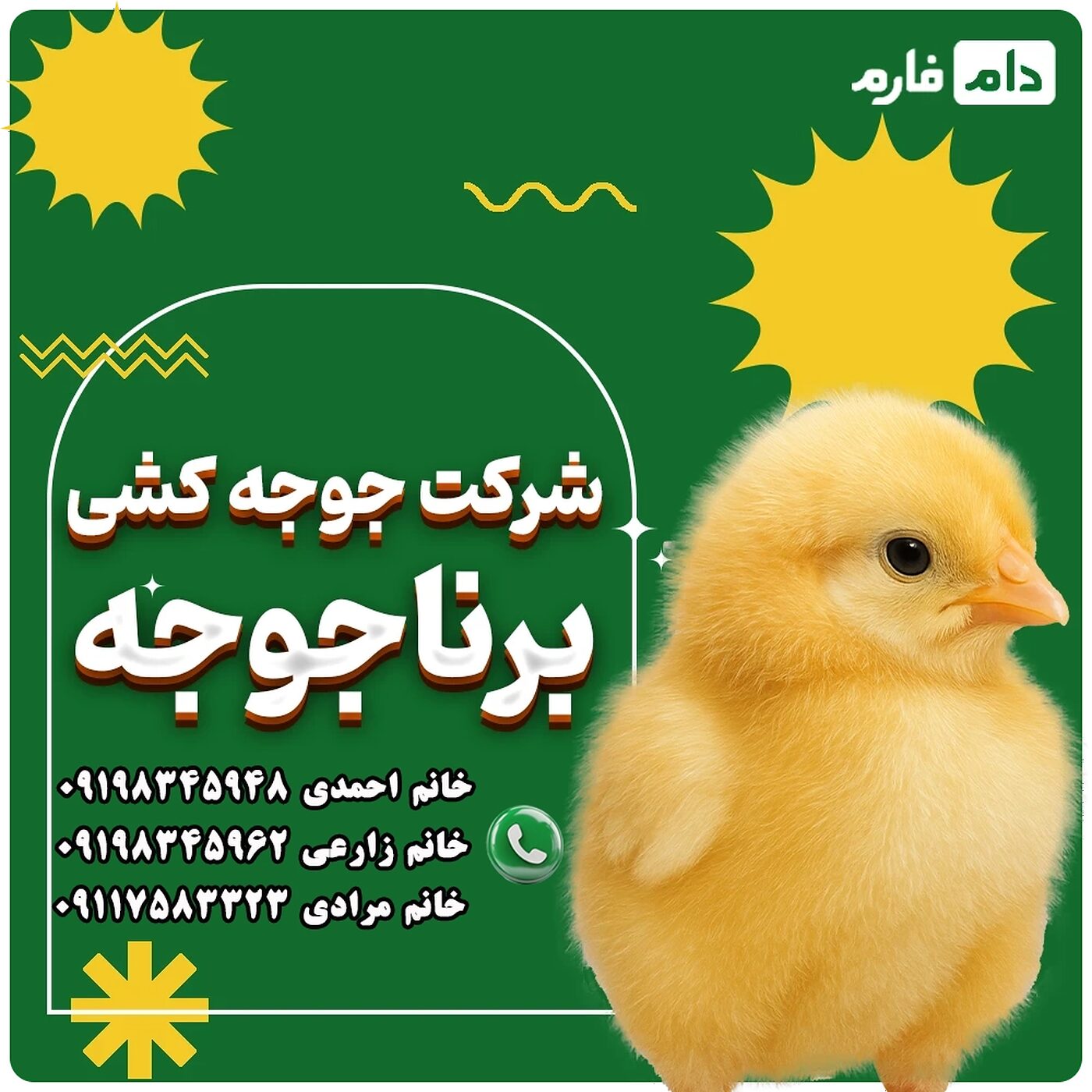 شرکت_جوجه_کشی_برناجوجه9000110
