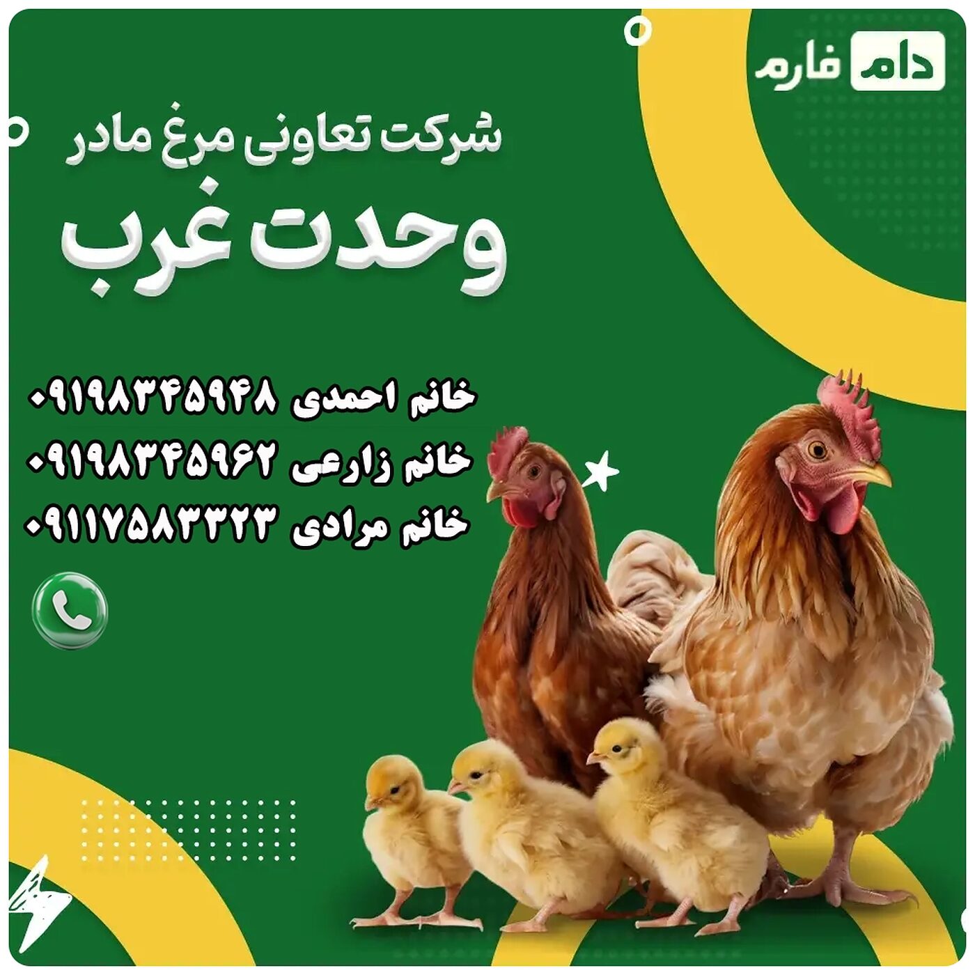 شرکت_تعاونی_مرغ_مادر_وحدت_غرب_90001101