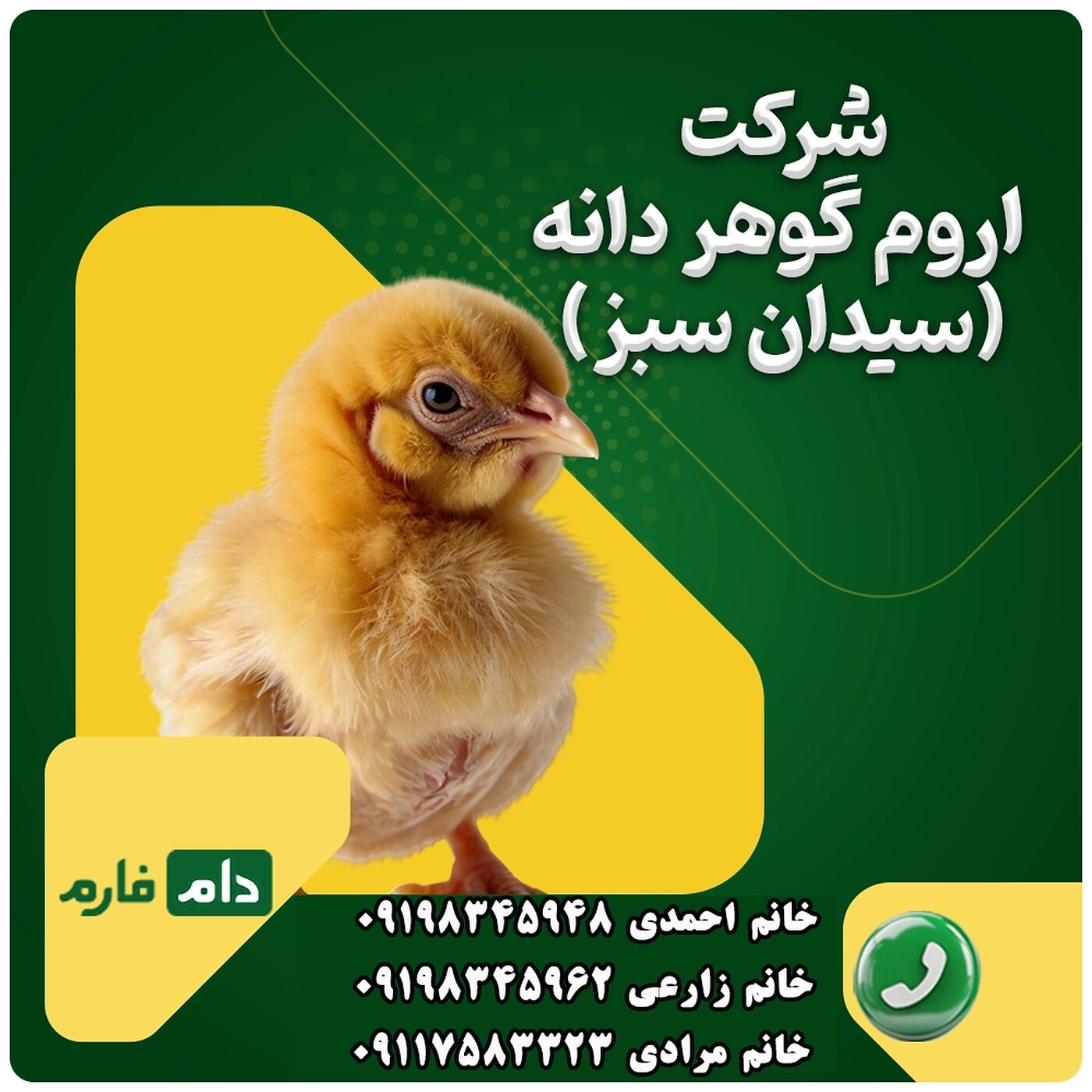 فروش_جوجه_شرکت_اروم_گوهر_دانه_(سیدان_سبز)_90001101