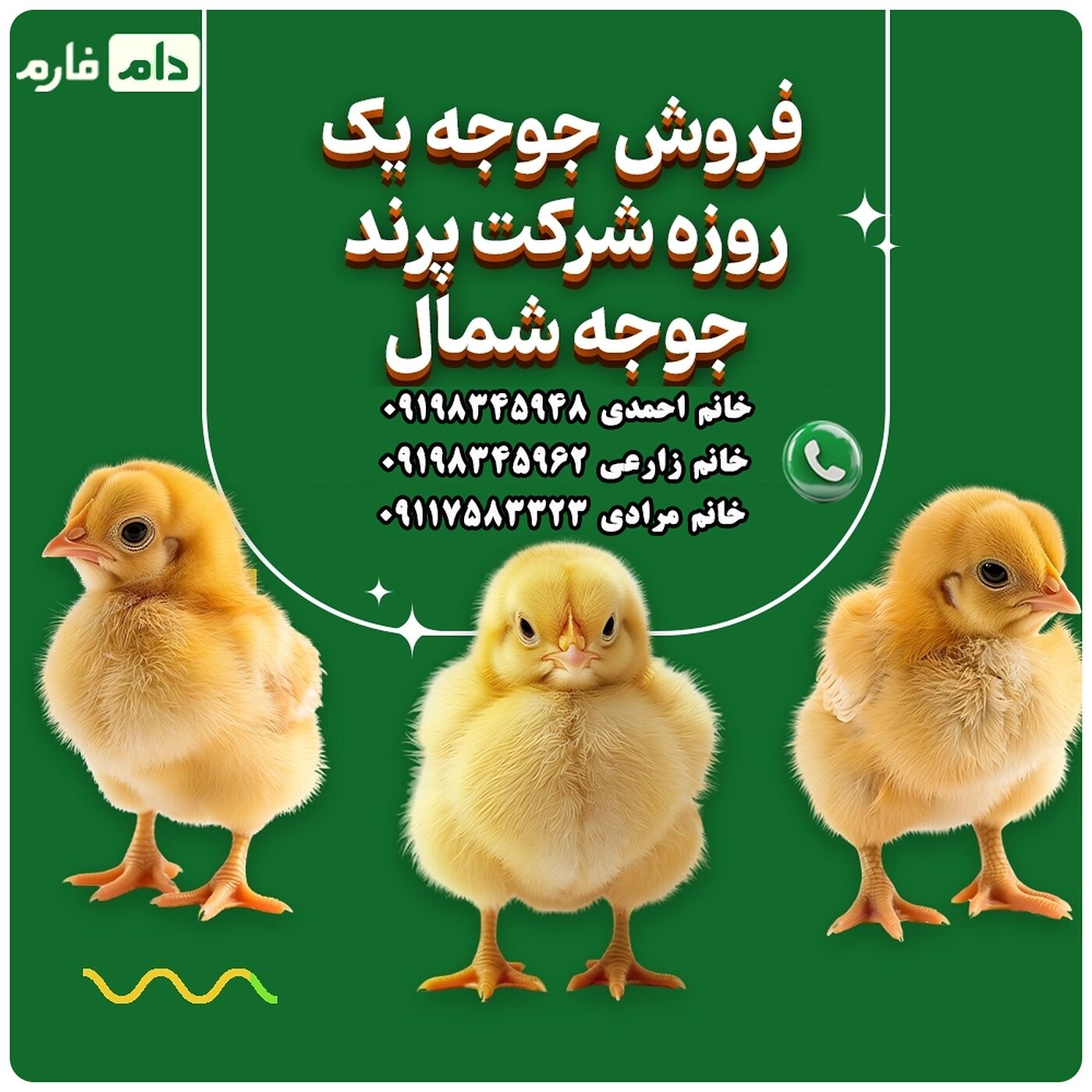 فروش_جوجه_یک_روزه_شرکت_سپید_پرند_90001101