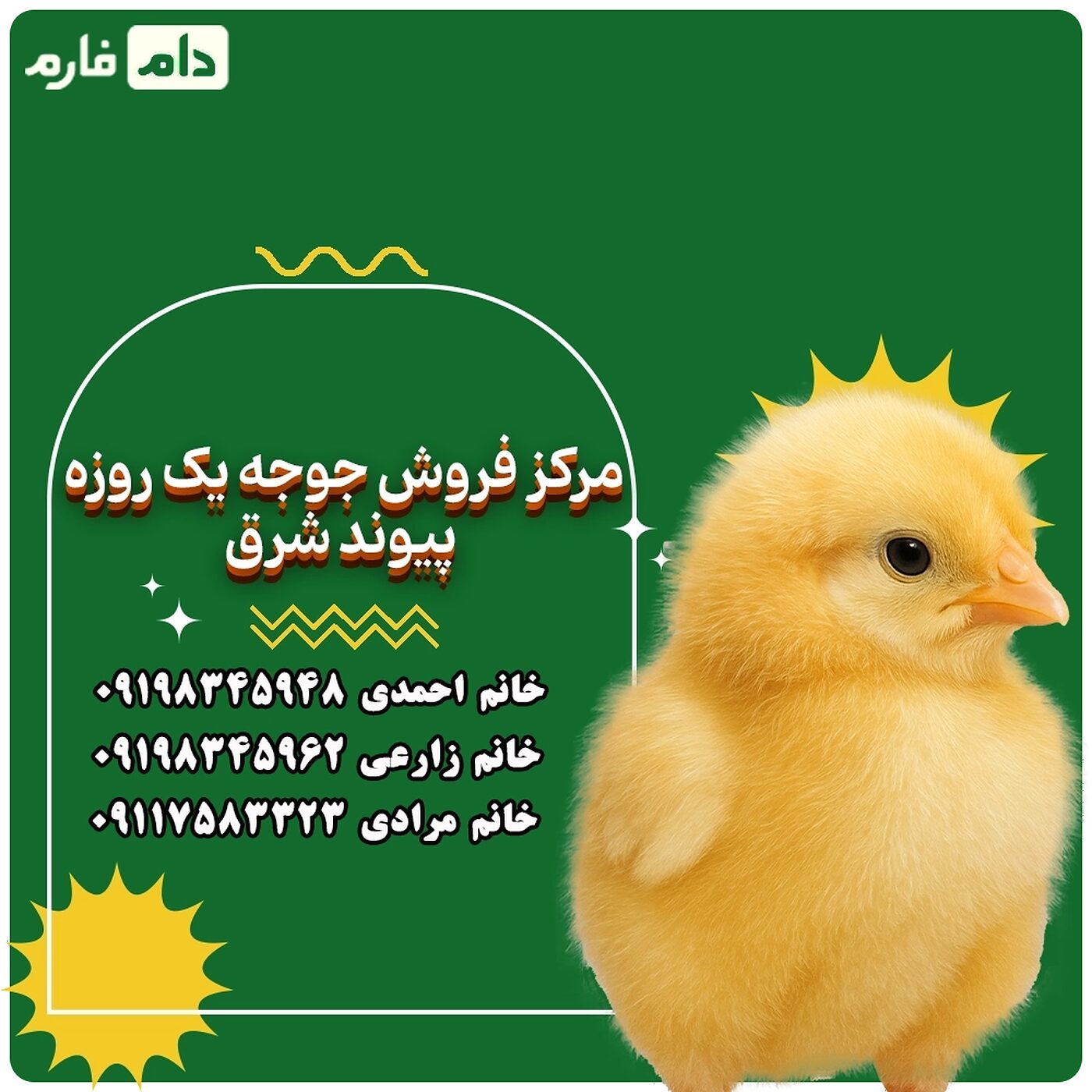 مرکز_فروش_جوجه_یک_روزه_پیوند_شرق_90001101