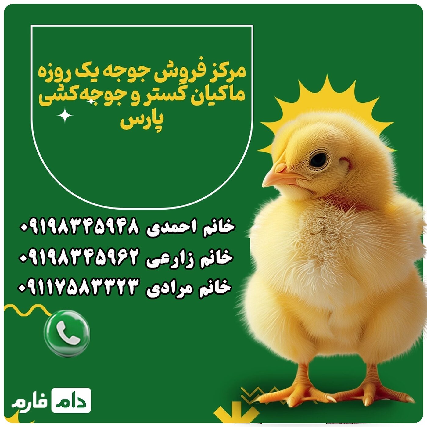 فروش_جوجه_یک_روزه_ماکیان_گستر_و_جوجه‌کشی_پارس__90001101