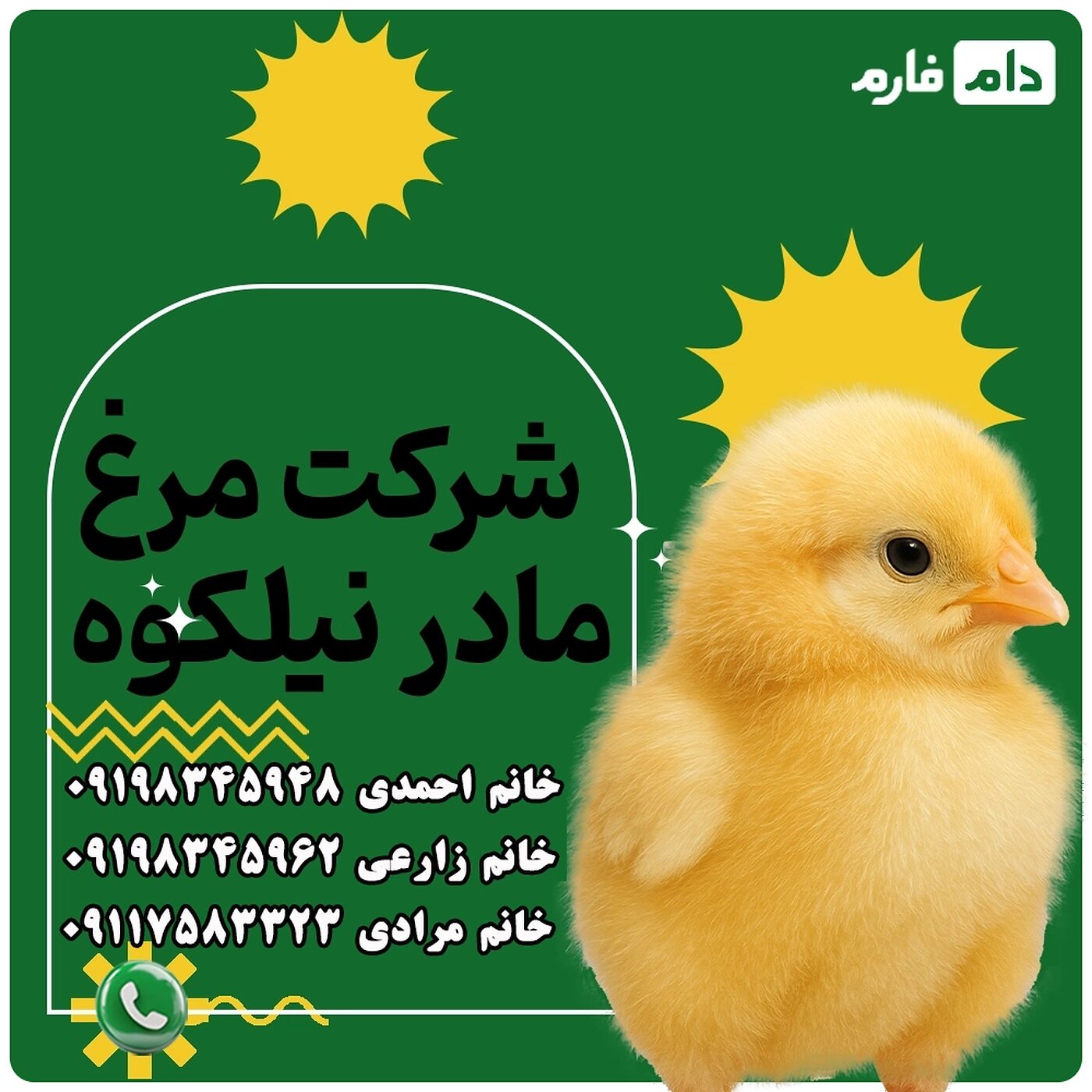شرکت_مرغ_مادر_نیلکوه_ 90001101