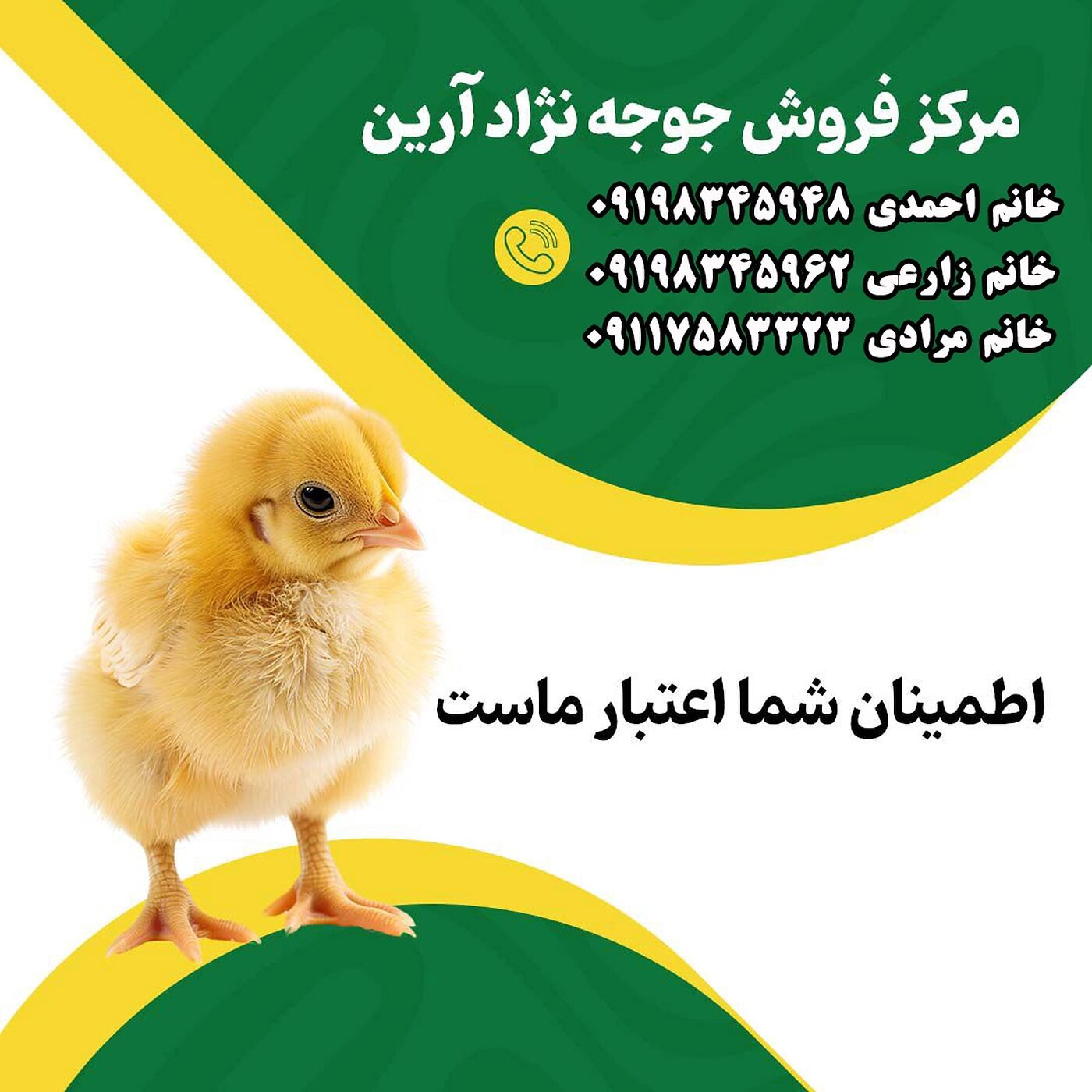 مرکز_فروش_جوجه_یک_روزه_نژاد_آرین_90001101