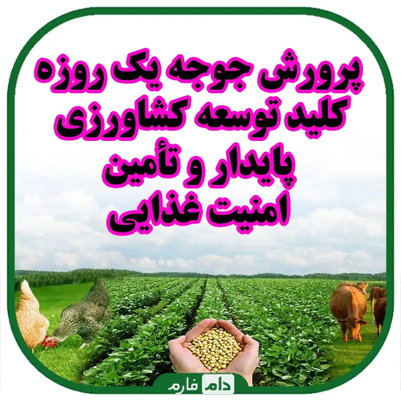 نقش_پرورش_جوجه_یک_روزه_در_کشاورزی_پایدار