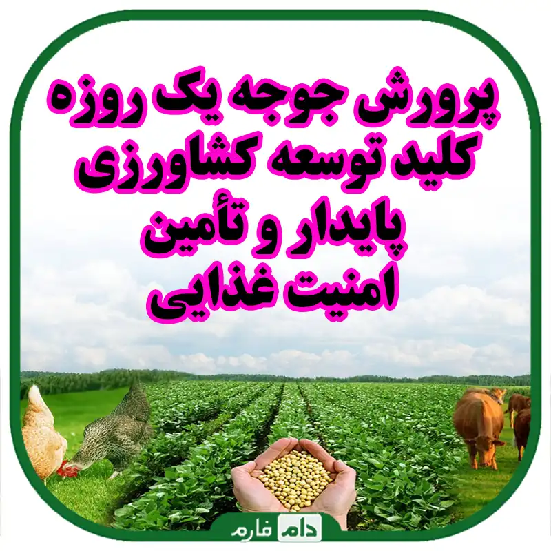 نقش_پرورش_جوجه_یک_روزه_در_کشاورزی_پایدار