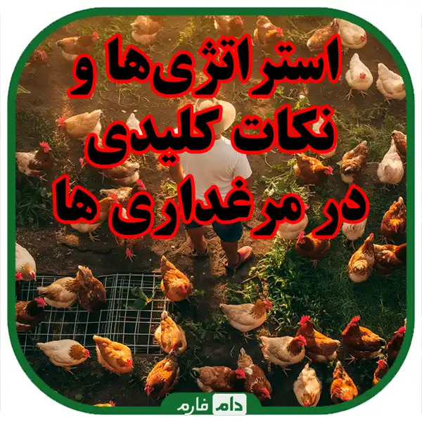 Interviews-with-successful-breeders-and-their-experiences