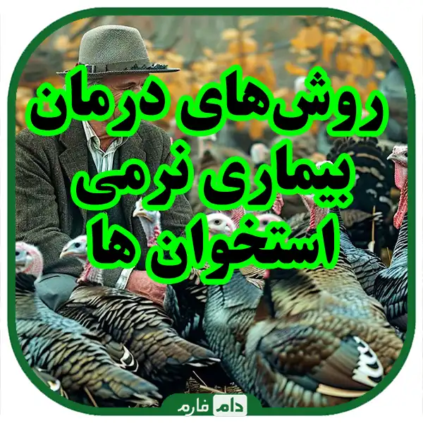 Osteoporosis-in-turkeys