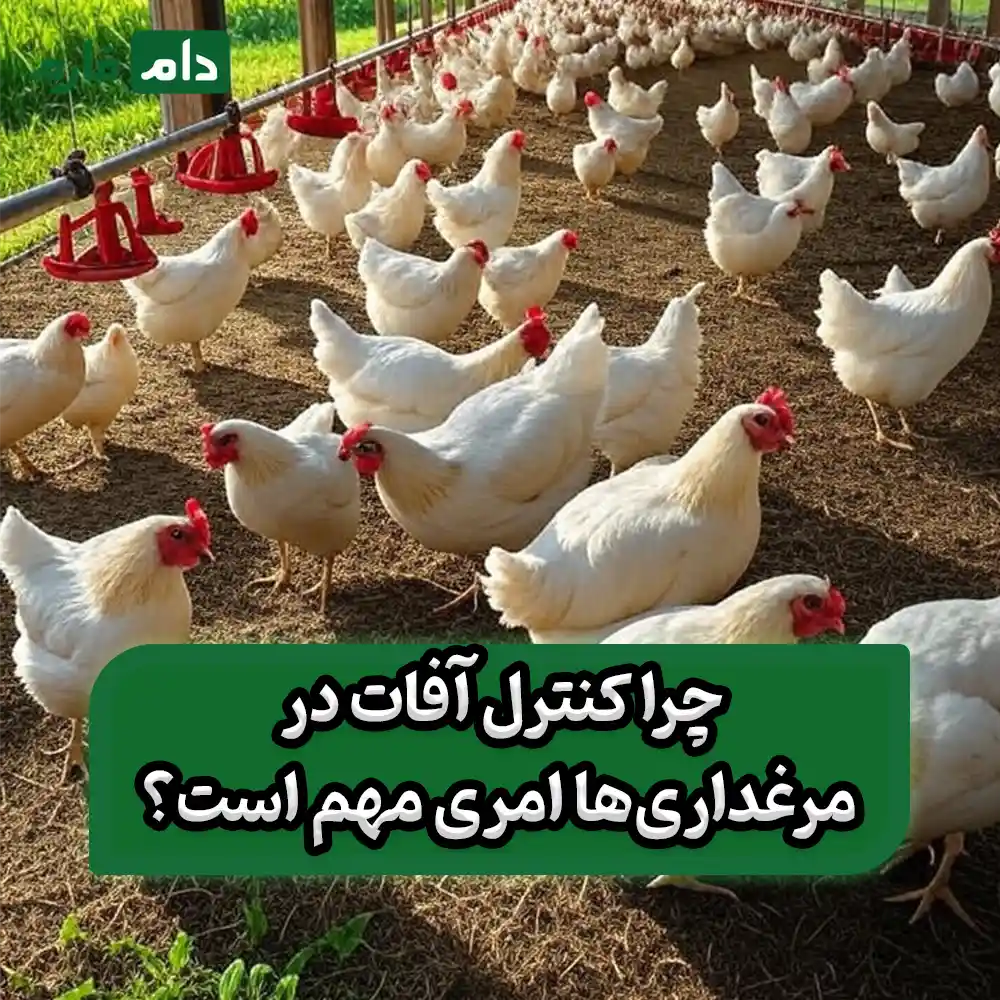 کنترل_و_مدیریت_آفات_در_مرغداری‌ها
