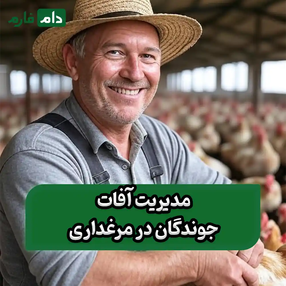 Pest-control-and-management-in-poultry-farms