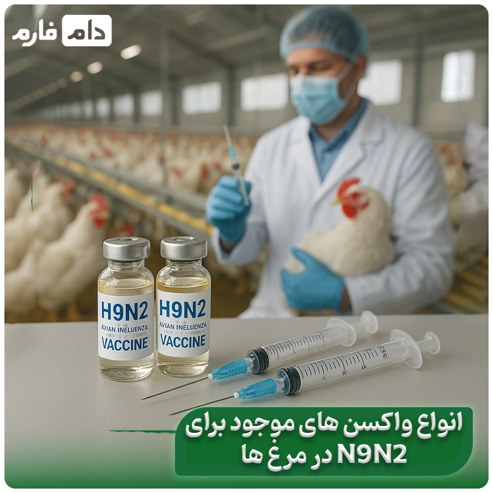 Investigation-of-H9N2-influenza-virus-in-broiler-chickens