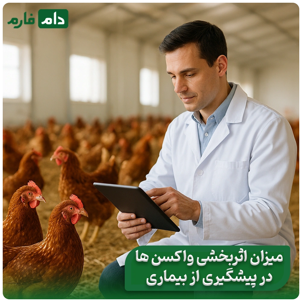 Investigation-of-H9N2-influenza-virus-in-broiler-chickens