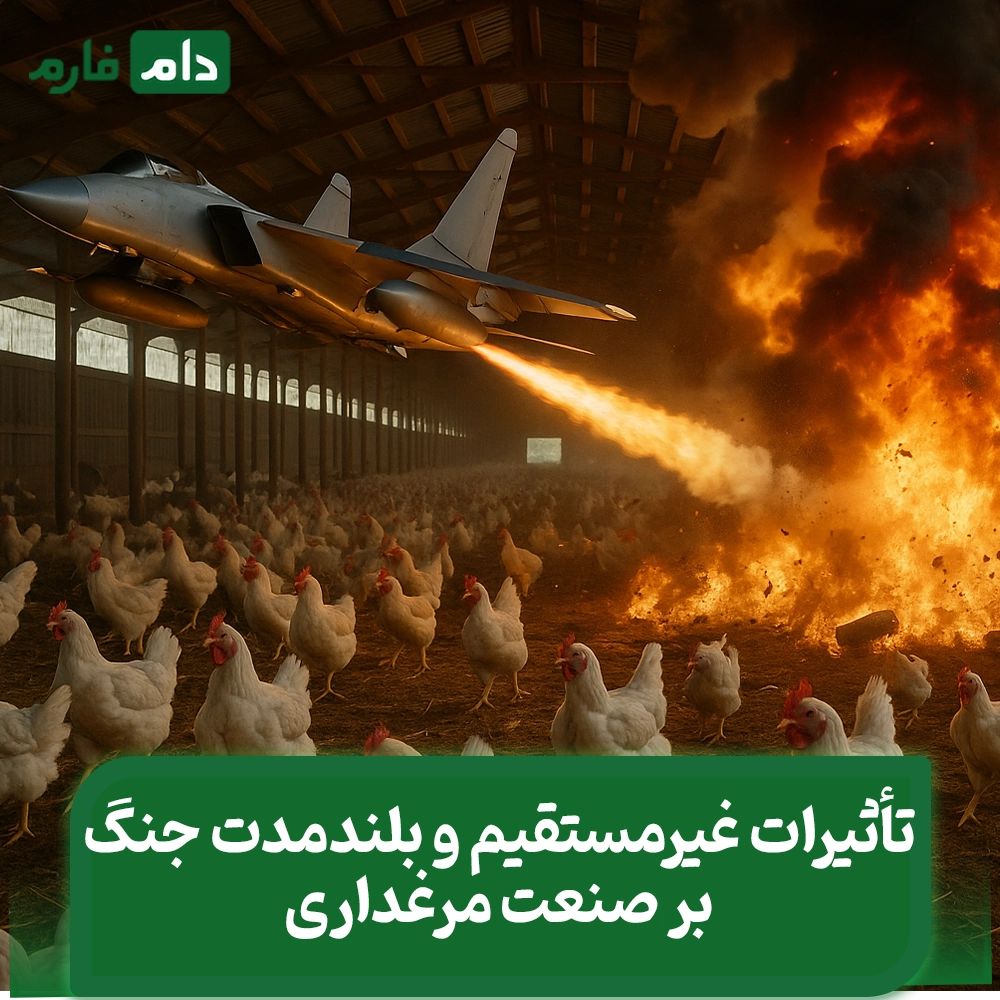 The-Poultry-Industry-in-the-Line-of-Fire:-Examining-Damage-and-Rescue-Strategies