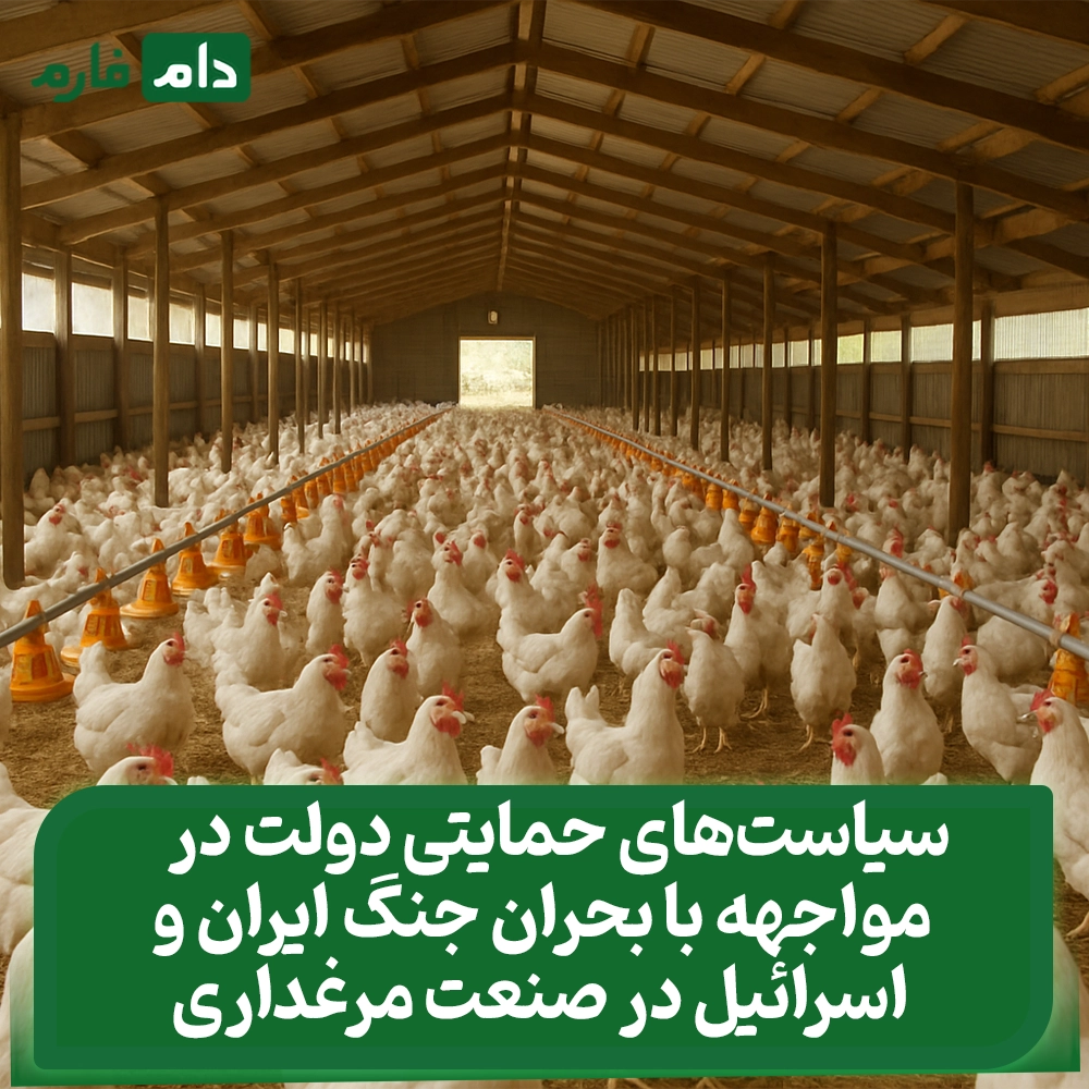 The-Poultry-Industry-in-the-Line-of-Fire:-Examining-Damage-and-Rescue-Strategies