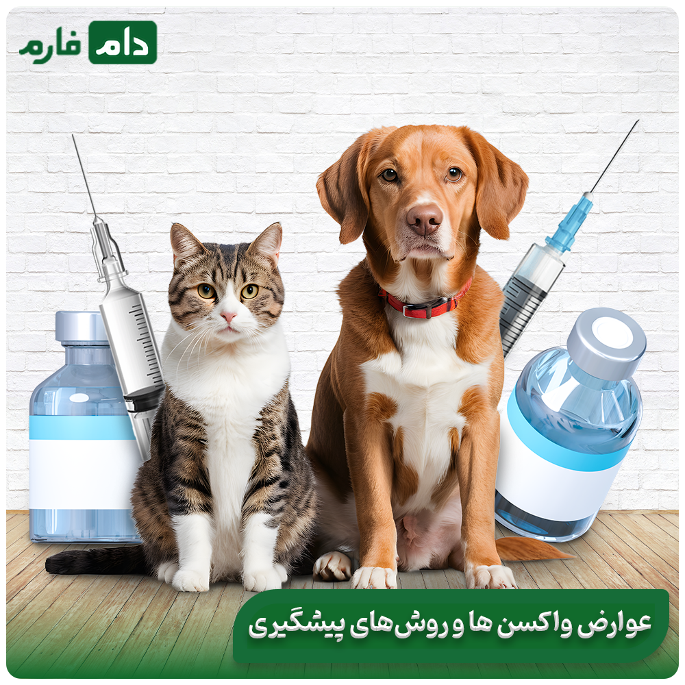 Veterinary-vaccines:-importance-and-choosing-the-best-vaccine-option-for-your-animals
