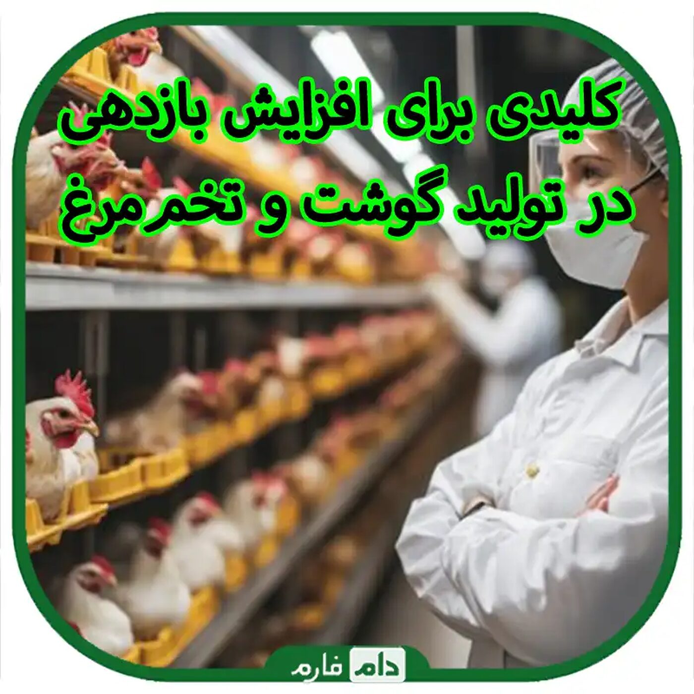 کلیدی_برای_افزایش_بازدهی_در_تولید_گوشت_و_تخم‌مرغ