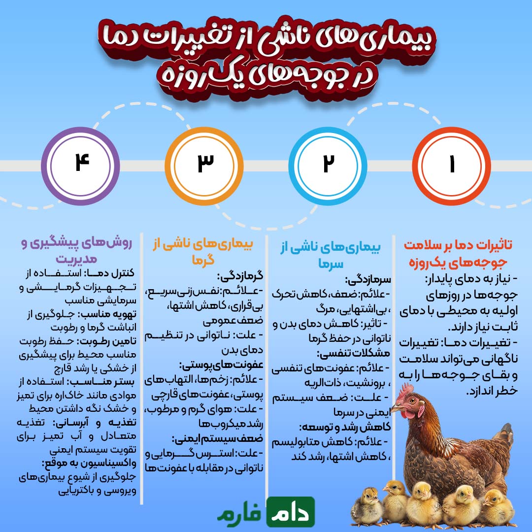 آسیب_های_ناشی_از_تغییرات_دما_در_مرغداری_ها