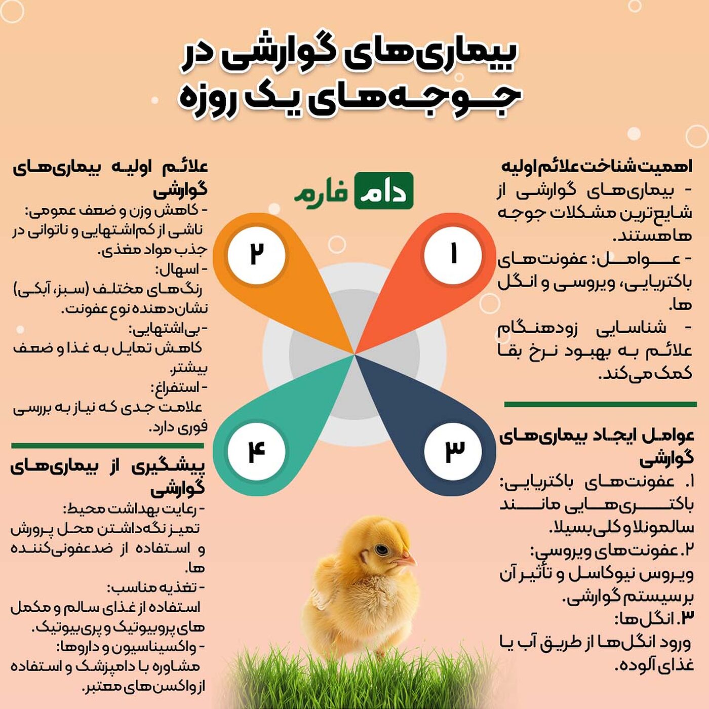 علائم_اولیه_بیماری‌های_گوارشی_در_جوجه_یک_روزه