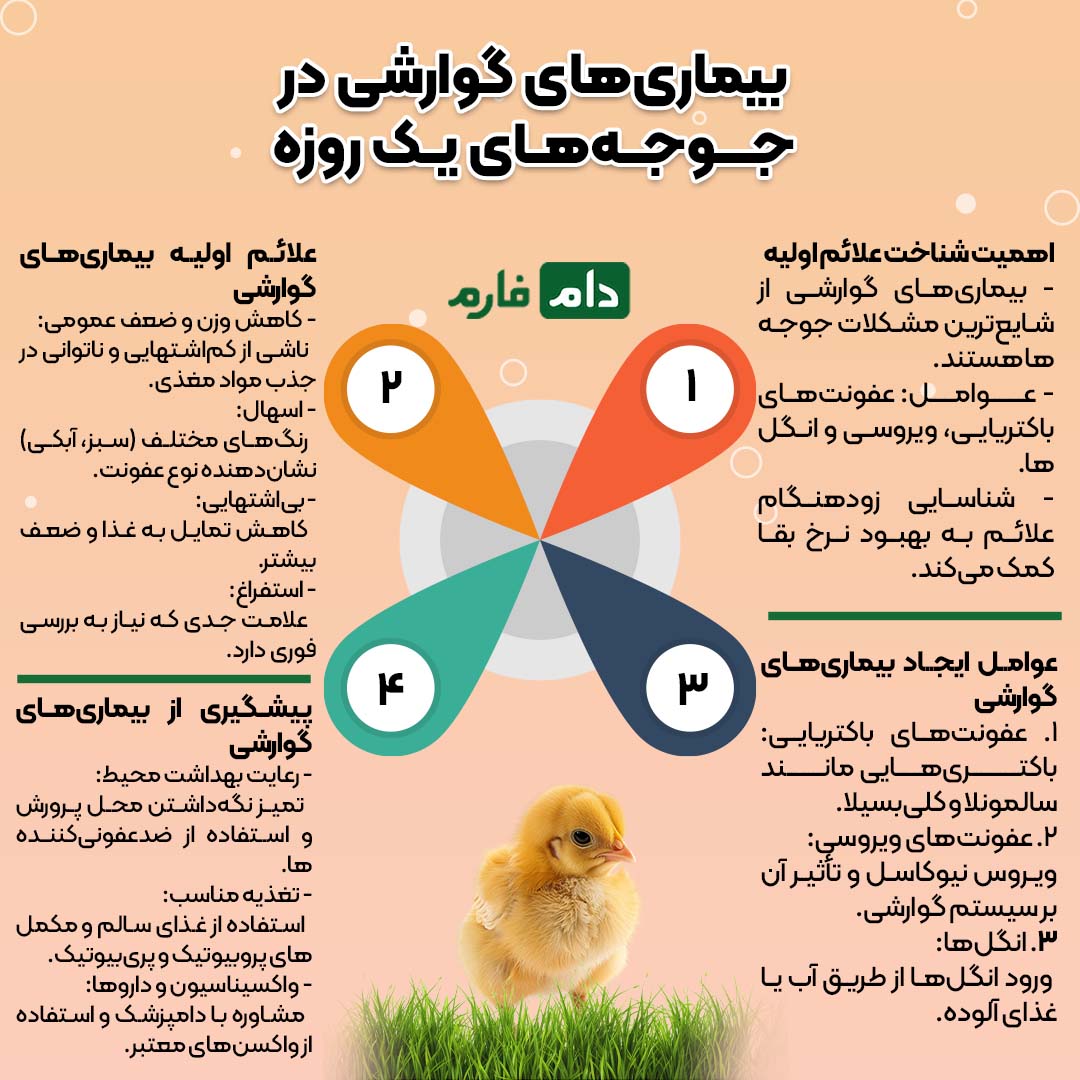 علائم_اولیه_بیماری‌های_گوارشی_در_جوجه_یک_روزه