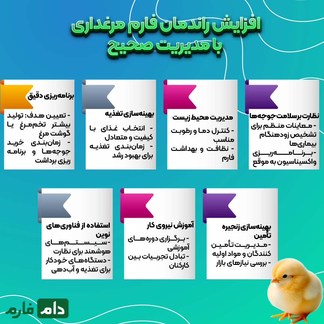 موفقیت_در_مرغداری_:_تکنیک‌های_کلیدی_برای_افزایش_تولید_و_کاهش_هزینه‌ها