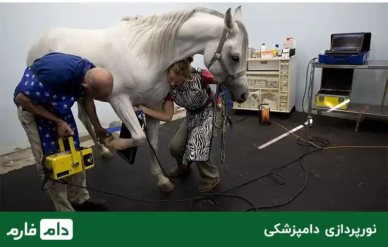 veterinary-equipment-10-supplies-and-tools-needed-for-veterinary-medicine