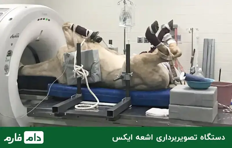 veterinary-equipment-10-supplies-and-tools-needed-for-veterinary-medicine