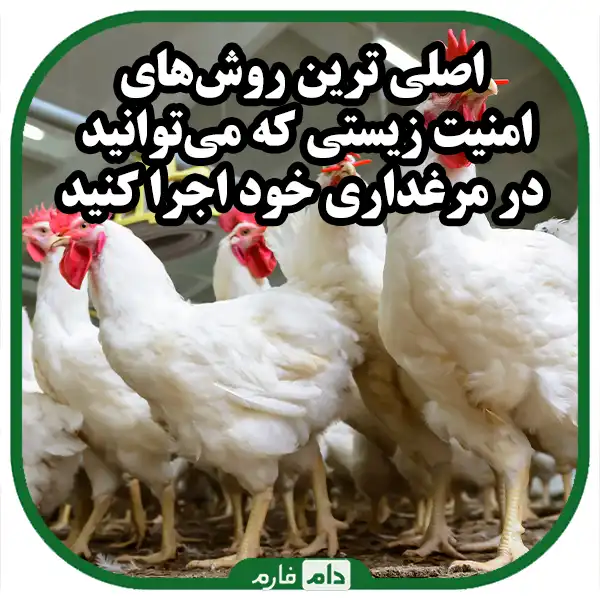 The-main-biological-safety-measures-in-poultry-farming