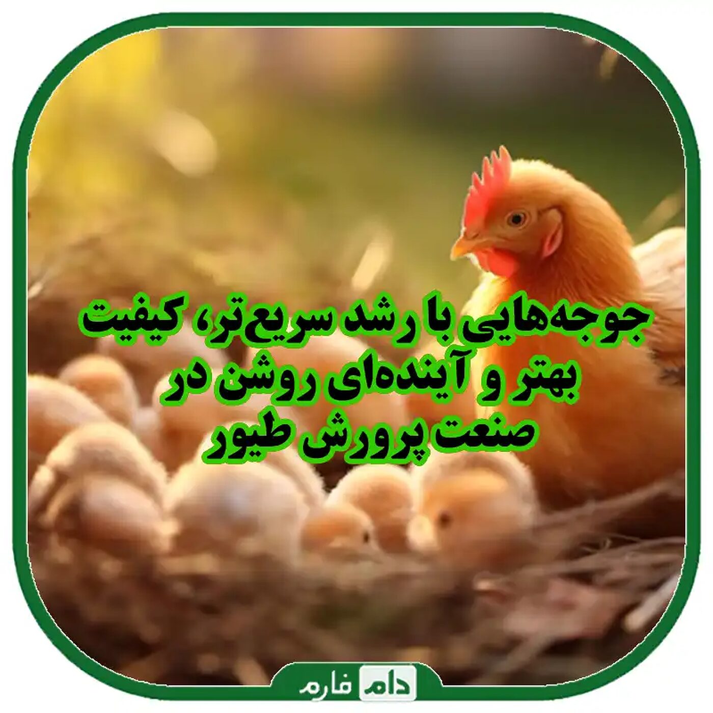تاثیرات_تغییرات_ژنتیکی_بر_رشد_سریع_جوجه_یک_روزه
