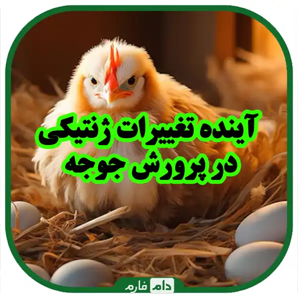 The-effects-of-genetic-changes-on-the-rapid-growth-of-one-day-old-chicks