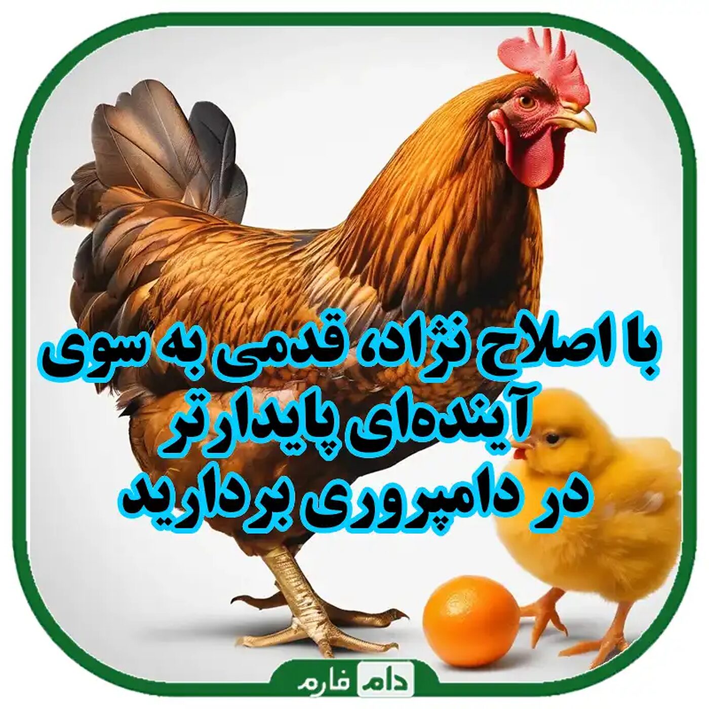 بهینه‌سازی_مصرف_دان_با_اصلاح_نژاد_راهکارهای_عملی_و_مؤثر