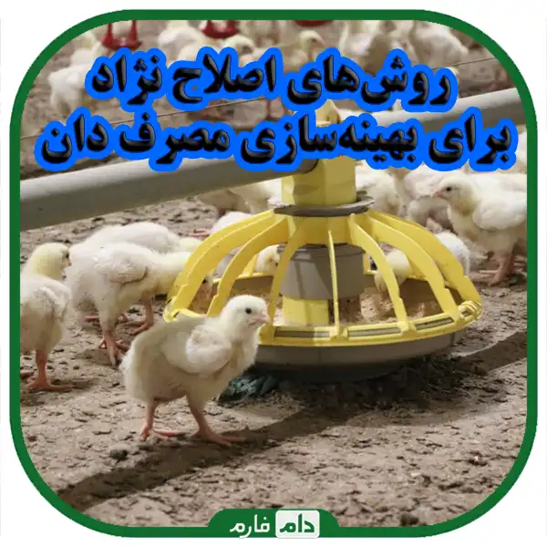 Optimizing-fertilizer-consumption-with-breeding,-practical-solutions-and-decisions