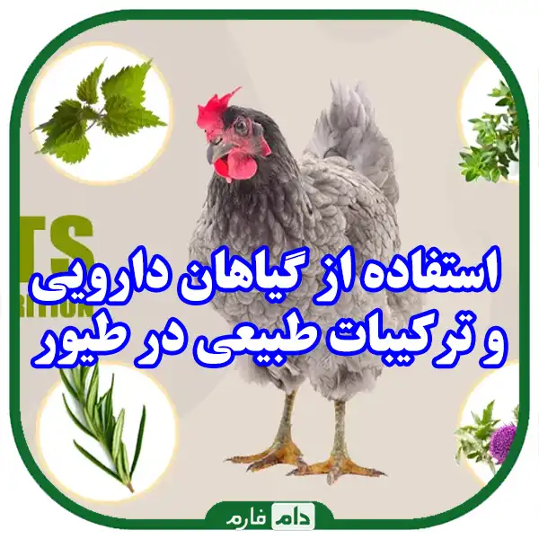 New-methods-in-the-production-of-veterinary-drugs